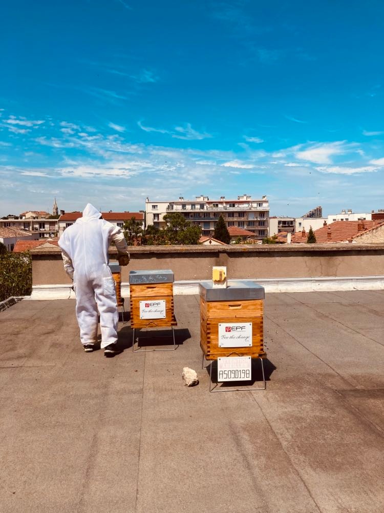 parrainer une ruche à Aix En Provence